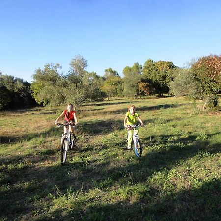 דירות Uzès Les Olives מראה חיצוני תמונה